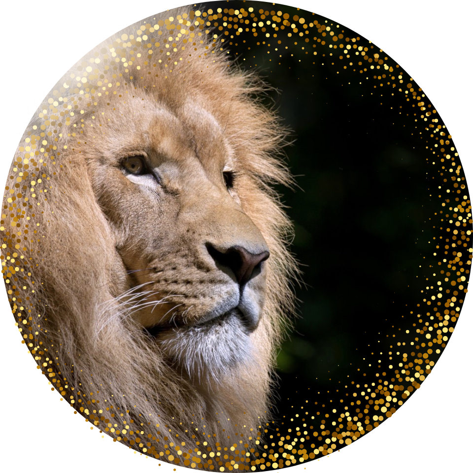 lion à paillettes